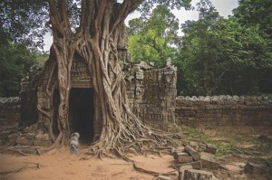 Whereintheworld_Cambodia