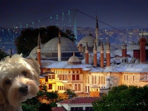 topkapi-palace-istanbul_Mabel